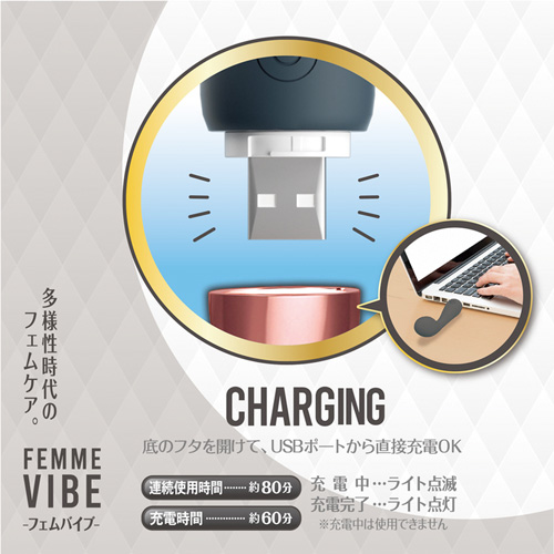 フェムバイブ画像5