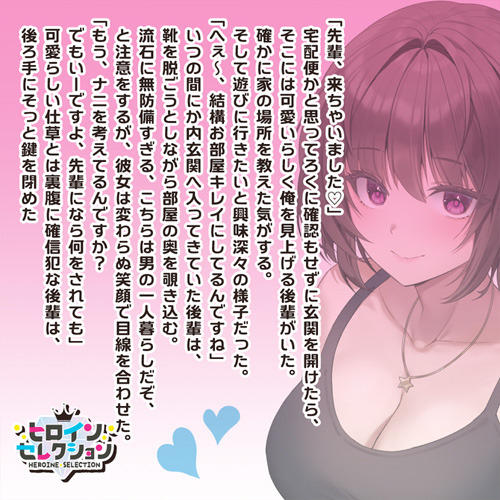 ヒロインセレクション 挟撃プリーツ画像4