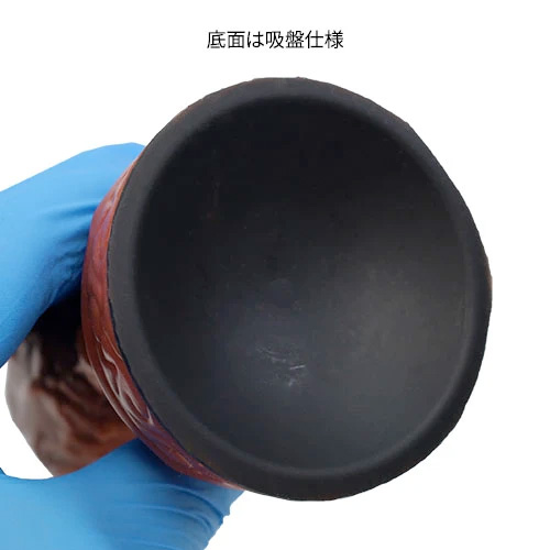 異形卵 OVOMORPH アナルプラグ 古物色画像7