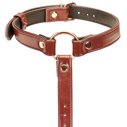 Liebe Seele Wine Red リーベゼーレ ワインレッド 首輪腰枷セット画像4