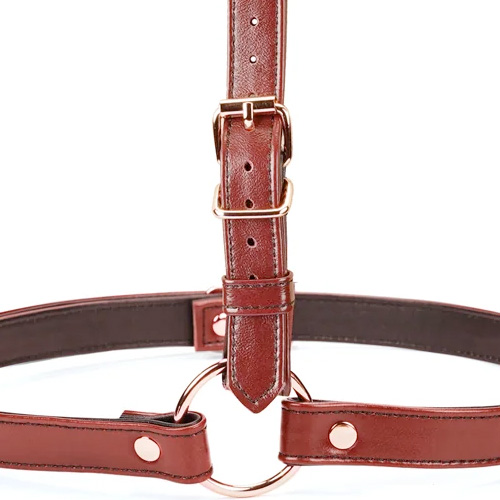 Liebe Seele Wine Red リーベゼーレ ワインレッド 首輪腰枷セット画像3