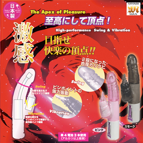 激感ゼニス画像4