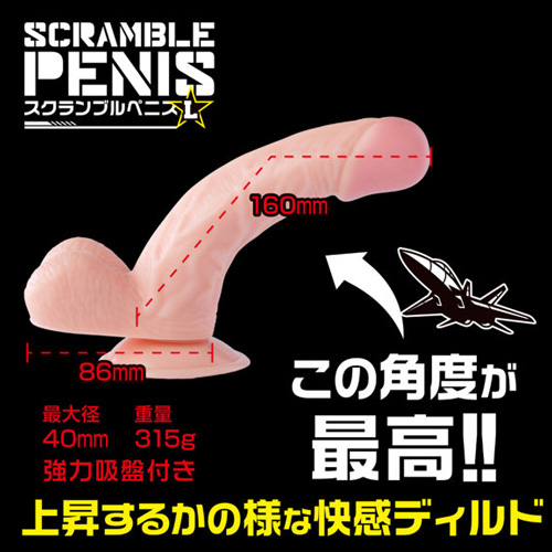 スクランブルペニス画像5