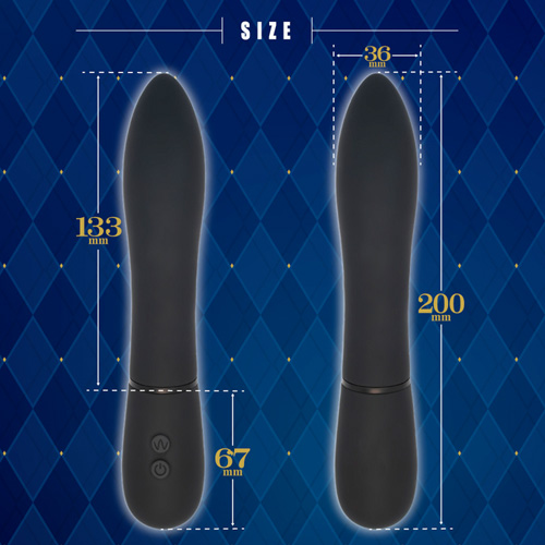 リニアピストンバイブ画像3