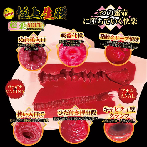 極上生腰 ミニ 森日向子画像4