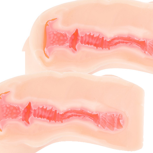 ふわもっちゅ画像7