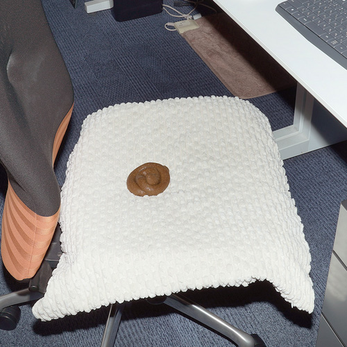 馬鹿ウンチ画像5