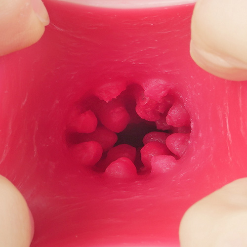 名器創生2 田中レモン画像5