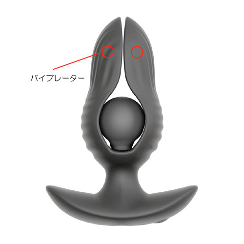 エキスパンダーポンプ プラグバイブ RC画像2