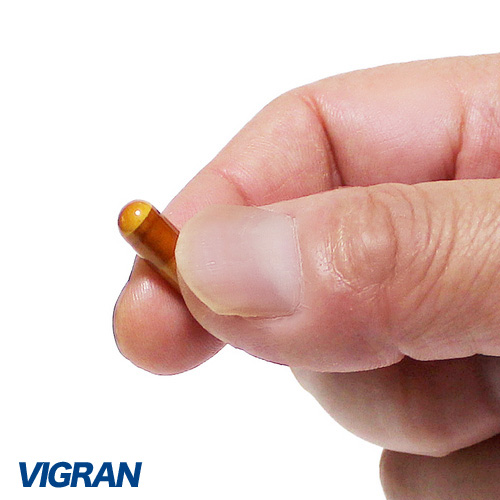 VIGRAN PLUS VIGRAN 5日分画像4