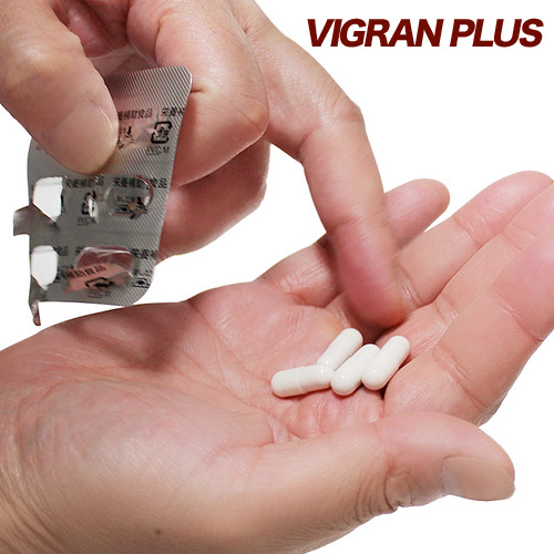 VIGRAN PLUS VIGRAN 5日分画像6