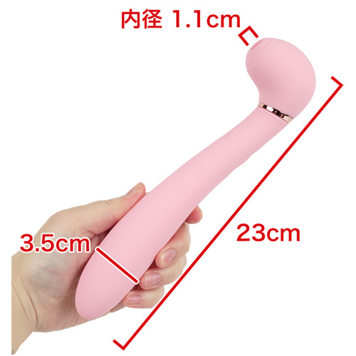 ブリスイン画像2