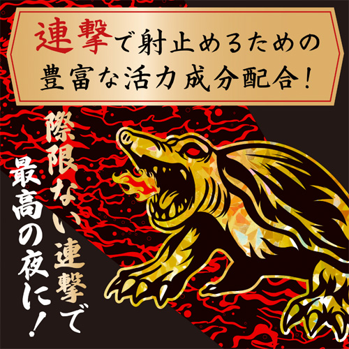 ストロングD スッポンドリンク 極皇連撃 漢皇一撃画像3