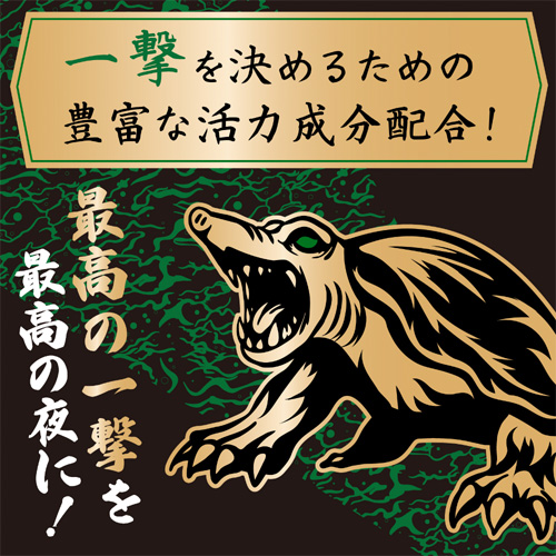 ストロングD スッポンドリンク 極皇連撃 漢皇一撃画像6