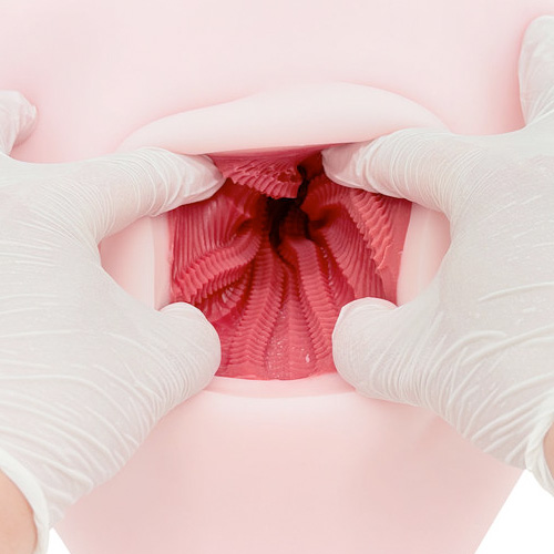 床オナ式マウントプレスONE画像3