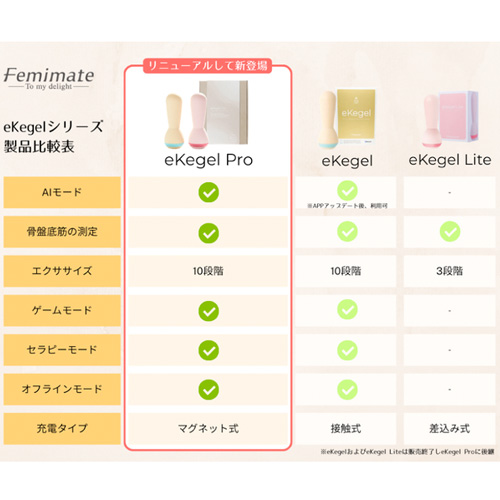 Femimate eKegel Pro フェミメイト イーケーゲルプロ画像7