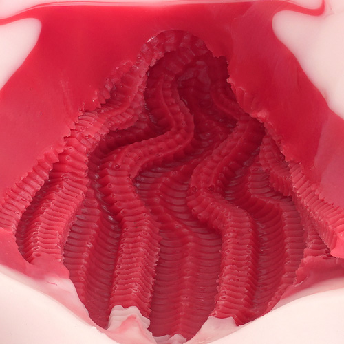 床オナ式マウントプレスONE画像5