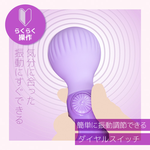 テンダーデンマ ミニ画像6