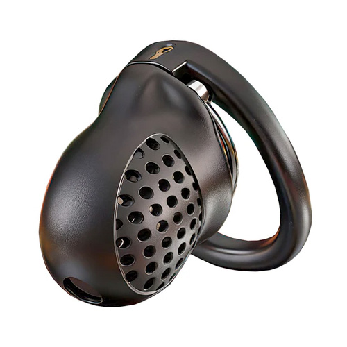 APケージ貞操帯画像7