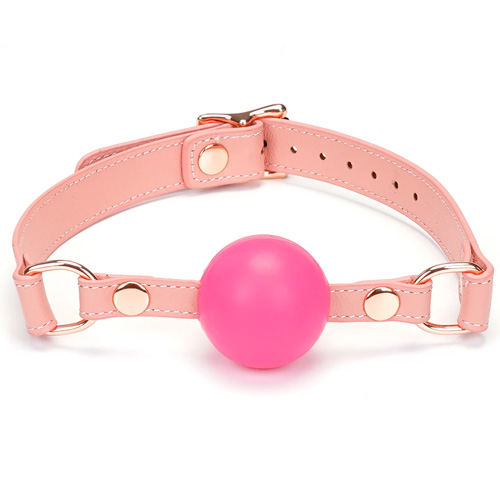 Liebe Seele Pink Dream リーベゼーレ ピンクドリーム 口枷画像2