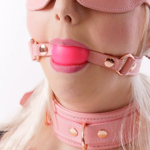 Liebe Seele Pink Dream リーベゼーレ ピンクドリーム 口枷画像6