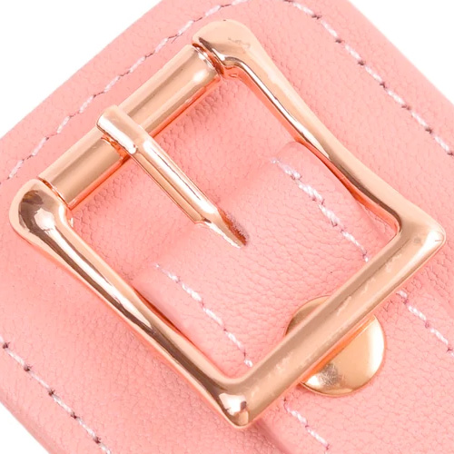 Liebe Seele Pink Dream リーベゼーレ ピンクドリーム 足枷画像5