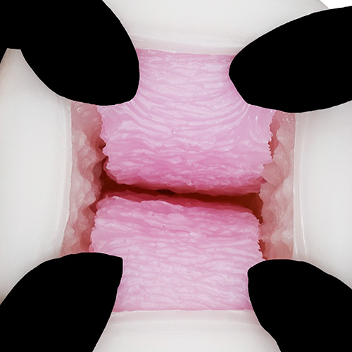 デカマラ仕様のオナホ デカ専 むちヴァギＵ画像7