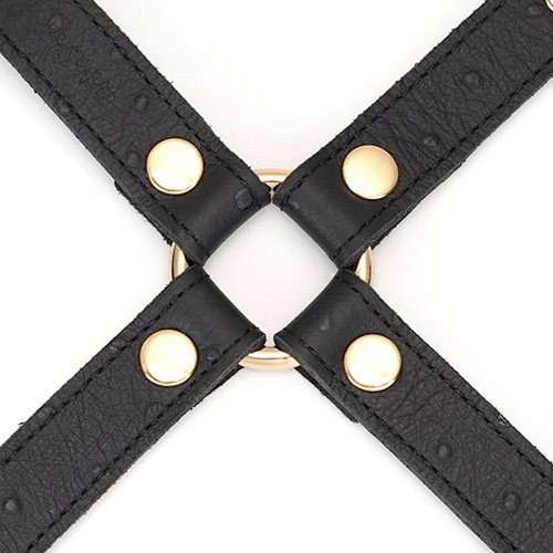 Liebe Seele Demons Kiss リーベゼーレ デーモンズキス ホグタイ画像3