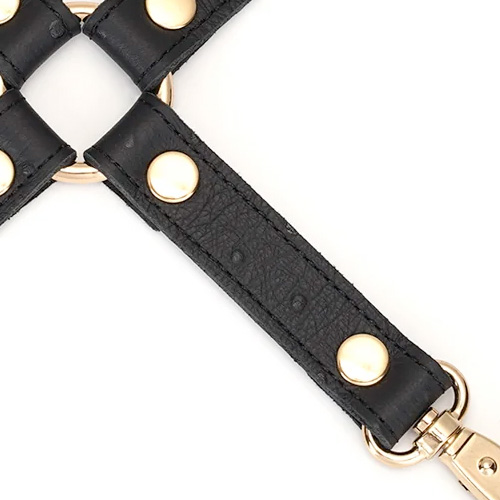 Liebe Seele Demons Kiss リーベゼーレ デーモンズキス ホグタイ画像4