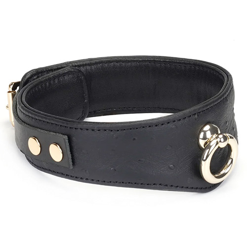 Liebe Seele Demons Kiss リーベゼーレ デーモンズキス 首輪 南京錠付き画像5