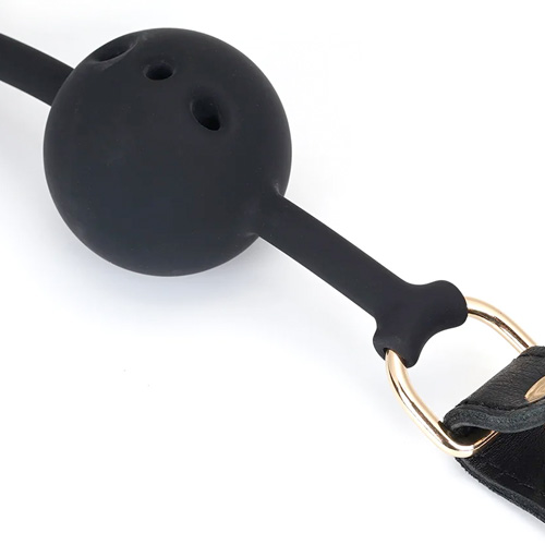 Liebe Seele Demons Kiss リーベゼーレ デーモンズキス 口枷画像5