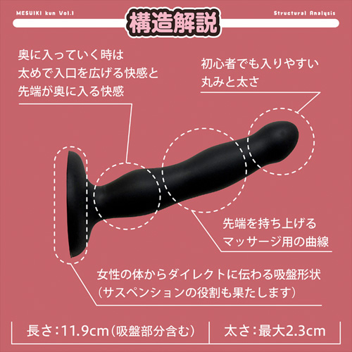 072LABO ルーインドオーガズム 次世代ペニバン メスイキくん1号 即プレSET画像4