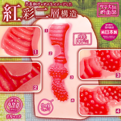 思春期サンクチュアリ硬 HARD画像5