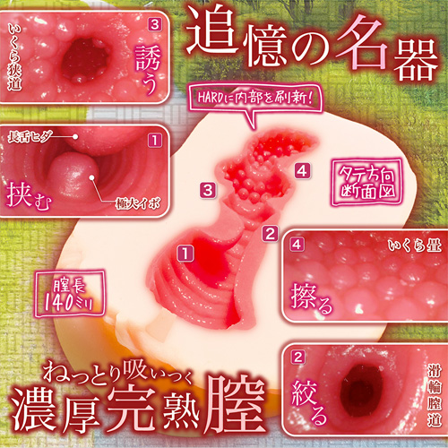 思春期サンクチュアリ硬 HARD画像2