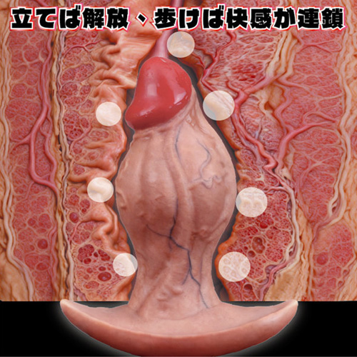 爆拡張感 Dick Plug画像5