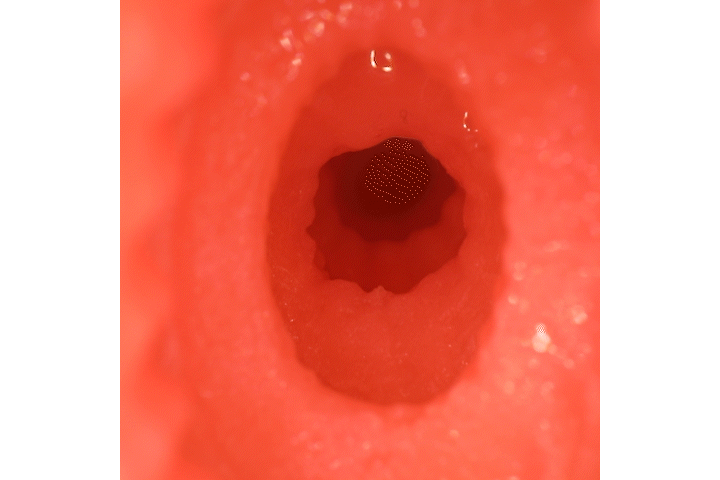 じゃぱに～ずりあるほ～る COMPACT 七沢みあ画像7