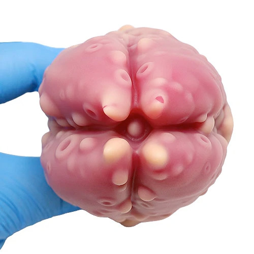 吞噬 KoX Plug コックス・プラグ 薔薇画像7