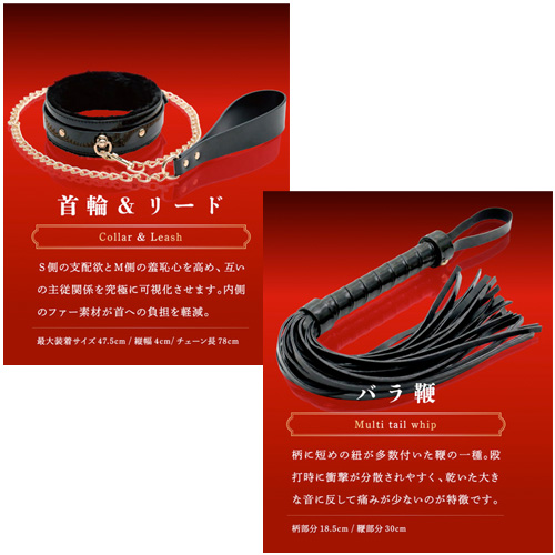 本格SMプレミアムセット画像6