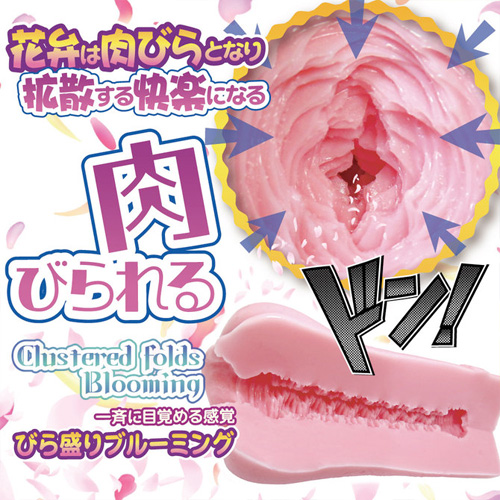 びら盛りブルーミング画像4