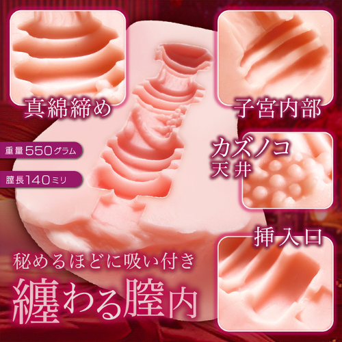 秘めごと淫モラル画像3