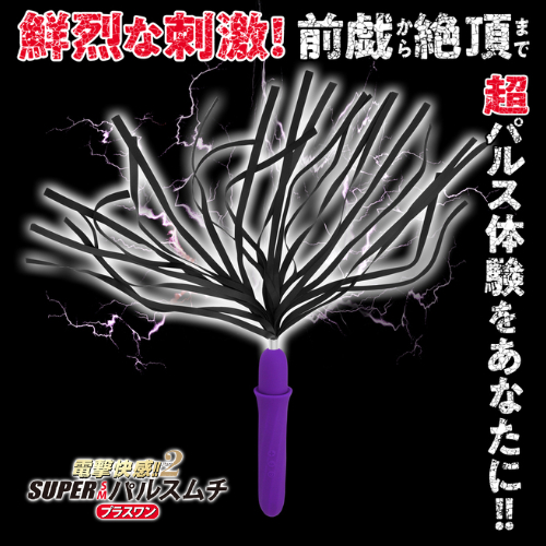 電撃快感 Part2 SUPER SMパルスムチ プラスワン画像4
