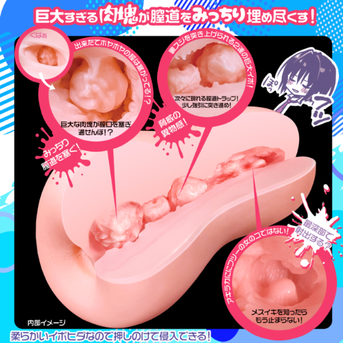 PARADOX画像3