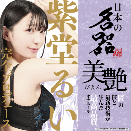 日本の名器 美艶 紫堂るい画像5
