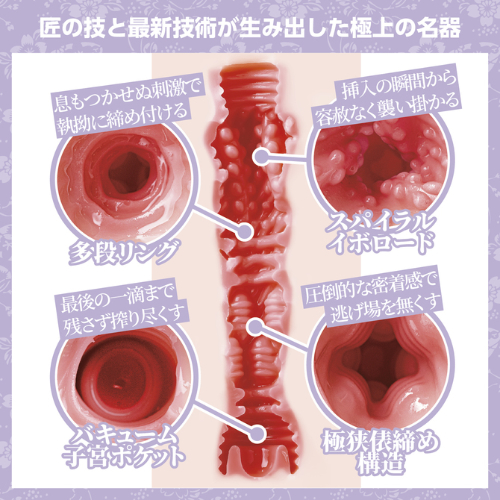 日本の名器 美艶 紫堂るい画像4