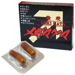 激硬 メガマグマ