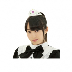 プリンセスティアラ