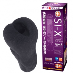 シックス タイプアール(SI-X Type.R) 
