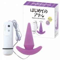はじめてのアナル アンカータイプ 電動