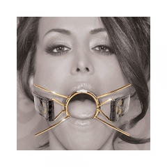 Fetish Fantasy Gold Deluxe Spider Gag デラックス・スパイダーギャグ