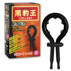 マグネットパワー黒豹王（くろひょうおう）